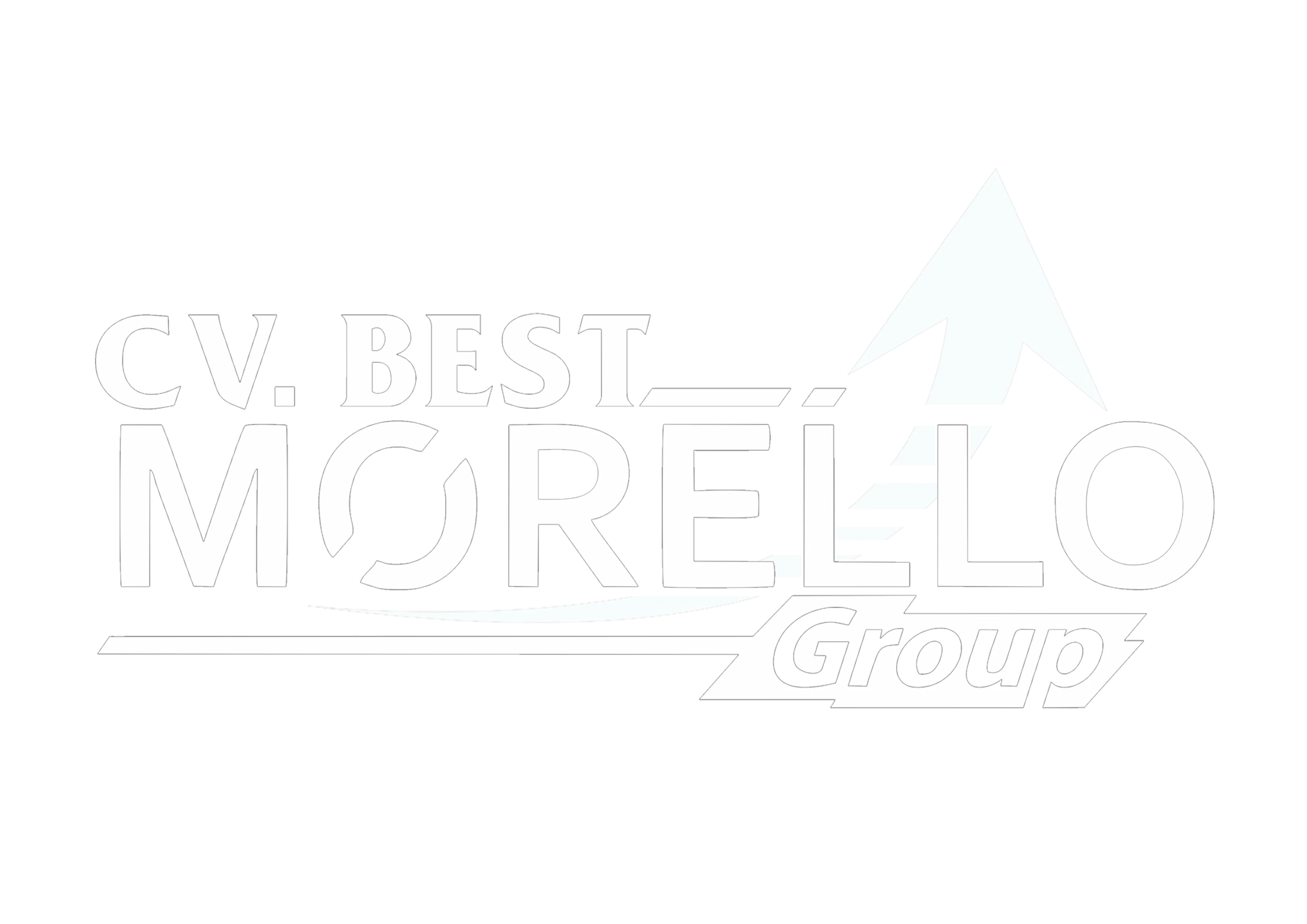 bestmorellogroup.com